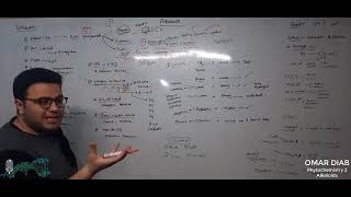 Alkaloids 1 Introduction  Phytochemistry 2  Sohag University [upl. by Aneeuqahs]