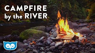 Campfire by the River  Relaxing Fire and Nature Sounds [upl. by Aiekal654]