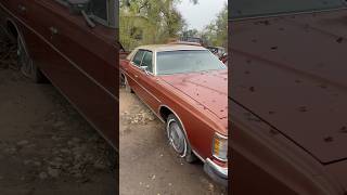 Survivor Barn Find 1973 Ford LTD barnfind ford survivor classiccars [upl. by Manton]