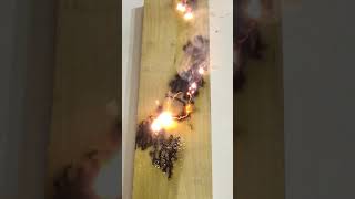 Fractal Wood Burning [upl. by Esadnac]