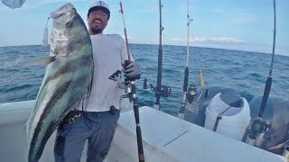 PESCA de Pez GALLO con carnada viva y señuelos  Roosterfish fishing Puerto Vallarta Mexico [upl. by Lehpar]