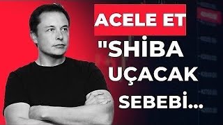 SHİBA COİN 1CENT OLABİLİR  SHİBA ACOİN ANALİZİ [upl. by Lan528]