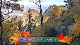 Searching for Fall Colors Sandia Mountains Albuquerque New Mexico [upl. by Ecal]