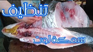 تجهيز وتنظيف سمكة اللوت وأعدادها للقلي والطواجن والشوي على الجرل [upl. by Noiramaj190]