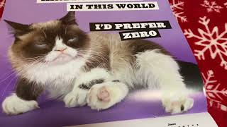 Grumpy Cat Calendar Sarcastically [upl. by Aileen]