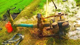 kirloskar 4HP water pump set machine 🔥 [upl. by Annoet]