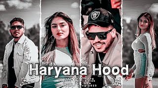 Haryana Hood  irshad khan  NoCopyrightSongs  no copyright status songs Punjabi remix song [upl. by Eul]