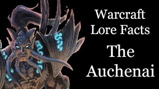 Warcraft Lore Facts  The Auchenai [upl. by Elleunamme]