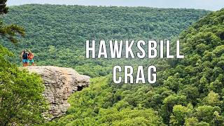 Whitaker Point Hawksbill Crag is a must do hike in Arkansas Buffalo National River Area [upl. by Ashly]