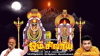 Om Shivaya  ஓம் சிவாய  Sruthilaya  ஸ்ருதிலயா [upl. by Boylan609]