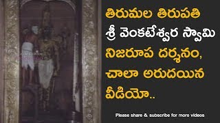 Tirumala Venkateswara Swamy Temple abhishekam real video [upl. by Arvy3]