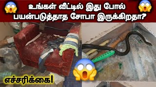 எச்சரிக்கை வீடு எப்படி இருந்தால் பாம்புகள் வரும்  இதுபோல் உங்கள் வீட்டை வைக்காதீர்கள் 😱 SnakeSaga [upl. by Sackville298]