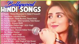 Non Stop Romantic hindi songs 2024   Best Romantic Songs [upl. by Ysset600]