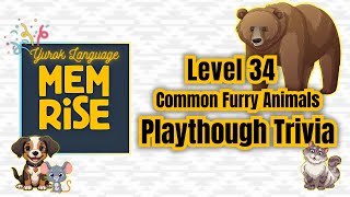 Yurok Memrise Level 34 Common Furry Animals Playthrough [upl. by Wernher]