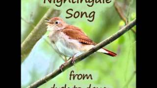 nightingale song part two [upl. by Stagg]