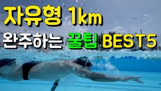 자유형 1km20바퀴를 완주할수 있는 5가지 방법 알아보자 발차기  호흡  글라이딩  영법변경 [upl. by Juley]