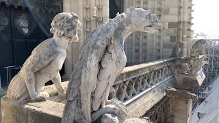 The Bells of NotreDame de Paris  April 14 2019 Day Before Fire [upl. by Ainolopa]