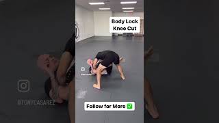 Top 5 BJJ NoGi Passes Every Beginner Should Know jiujtsu mma martialarts [upl. by Enaols]