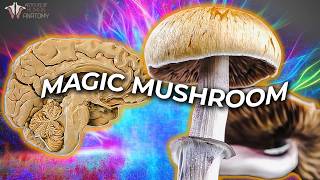 What Psilocybin Does to Your Brain  Can It Improve Mental Health [upl. by Akilegna]