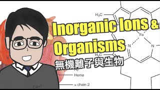 Inorganic Ions and Organisms  HKDSE Biology [upl. by Ecirtap678]