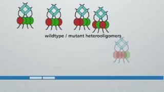 Molecular action of p53 in carcinogenesis [upl. by Pedrotti381]