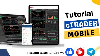 cTRADER SHIRKADDA FUNDINGPIPS TUTORIAL  MOBILE [upl. by Moses]