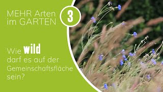 Mehr Arten im Garten  Folge 3 Wild und Kulturpflanzen auf Gemeinschaftsflächen [upl. by Enihpets]