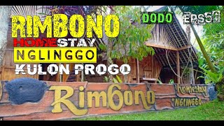 RIMBONO HOMESTAY NGLINGGO KULON PROGO [upl. by Kristine]