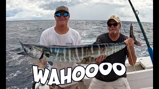 EPIC WAHOO FISHING OCRACOKE ISLAND NORTH CAROLINA [upl. by Warren]