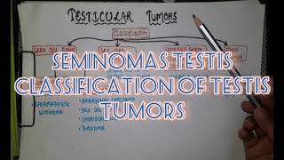 Testicular tumor Cancer  SEMINOMA and NON SEMINOMA  Pathology [upl. by Japheth]