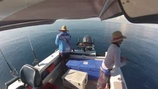 Stevens Reef Fishing Trip [upl. by Yelnikcm]