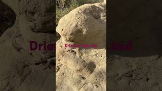 Ashland Oregon emigrant lake dries up exposing sandstone with strange carved symbols [upl. by Anifares]