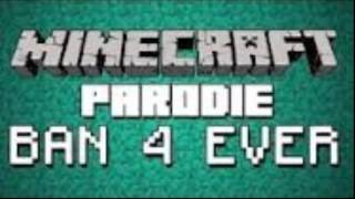 Top 5 Minecraft Parodies NL [upl. by Virgilio]