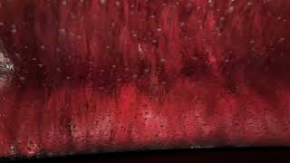 My Experience at Esso Car Wash  Soft Touch  in Pickering Ontario [upl. by Nolram983]