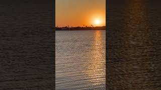 Muddy Waters Live Mannish Boy Sunset Rockport Texas [upl. by Asquith]