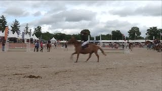 Generali Open de France d’équitation à LamoteBeuvron [upl. by Inilam]