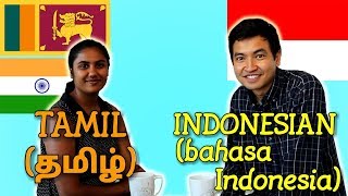 Similarities Between Tamil and Indonesian [upl. by Gerg368]