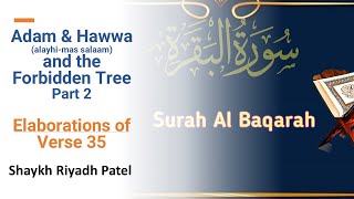 Adam amp Hawwa alayhimas salaam and the Forbidden Tree Part 2  Surah Al Baqarah 235 [upl. by Nairot]