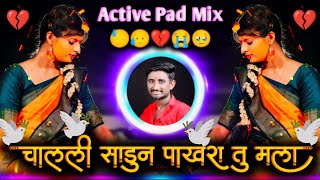 चालली सोडुन पाखरा तु मला  Baghu Shaknar Nahi Tula Dusryachi Zalyar Tula  Active Pad Mix Dj Balaji [upl. by Carolan597]