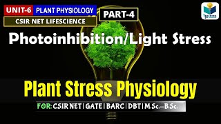 PHOTOINHIBITION  LIGHT STRESSPART4  STRESS PHYSIOLOGY [upl. by Ardis]