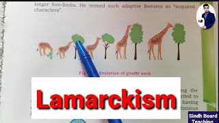 Lamarckism Theory of Inheritance of Acquired Characters Lecture 7 [upl. by Llevaj]