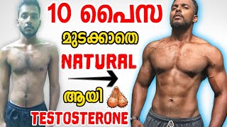 HOW TO BOOST TESTOSTERONE FASTER NATURALLY MALAYALAM  MaLLuUnToLD [upl. by Aicre]