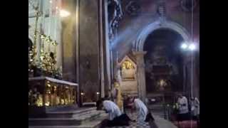 Ambrosian Rite Mass at Santa Maria Sopra Minerva [upl. by Anuahsar]