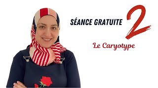 Seance 2 Le caryotype [upl. by Landel]