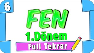 6 Sınıf Fen Bilimleri 1 Dönem Full Tekrar ♻ 2022 [upl. by Bolling648]