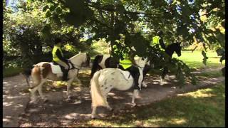 Dixielanders uk at margam park with Martin Clunes [upl. by Ergener]