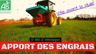 FERTILISATIONJe met tout lengrais organique sur les blés bio cest le moment [upl. by Lupee]