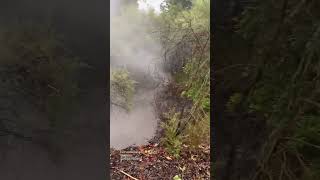 rotorua youtubeshorts newzealand geothermal activity [upl. by Nnylyahs]