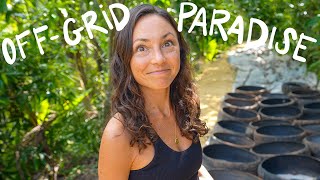 Building an OFFGRID EARTHSHIP PARADISE in the jungle 🌺 [upl. by Eannaj]