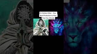 Dr Delbert Blair  Protect Yourself by Vibrating Faster [upl. by Ellora149]